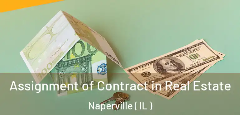  Assignment of Contract in Real Estate Naperville ( IL )