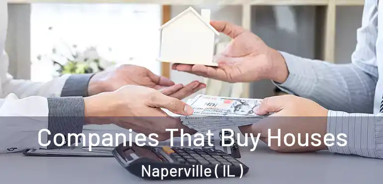  Companies That Buy Houses Naperville ( IL )