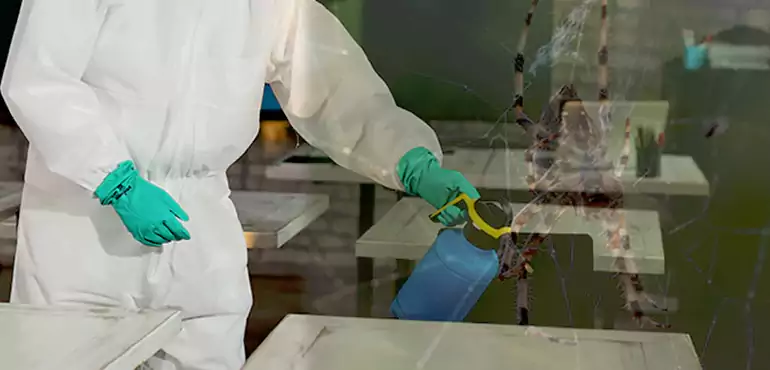 Why Buyers Still Want Homes With Pest Infestations in Naperville, IL?