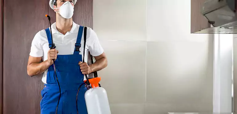 Why Naperville Homeowners Choose Us When Pests Make Selling Difficult