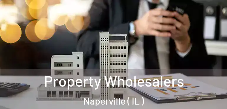  Property Wholesalers Naperville ( IL )