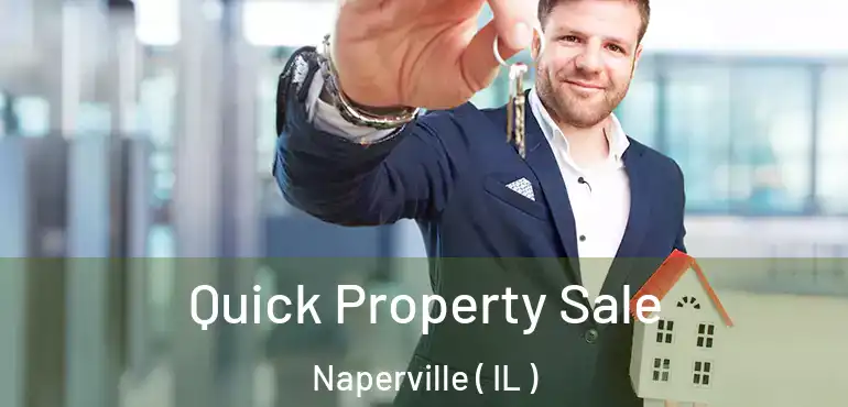  Quick Property Sale Naperville ( IL )