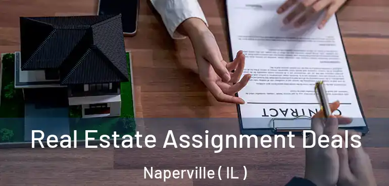  Real Estate Assignment Deals Naperville ( IL )
