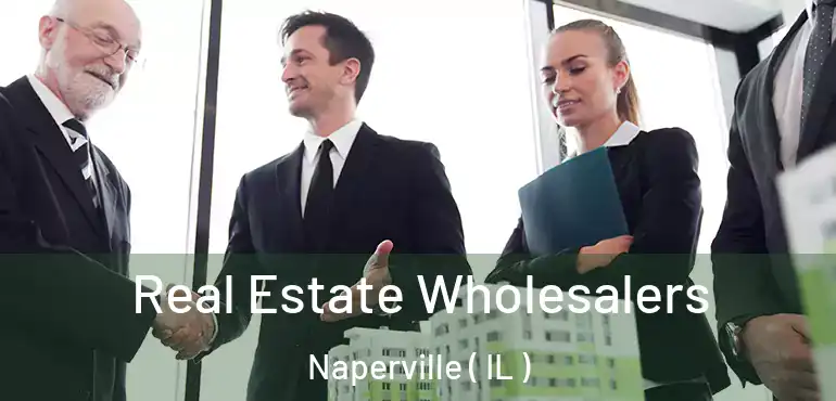  Real Estate Wholesalers Naperville ( IL )