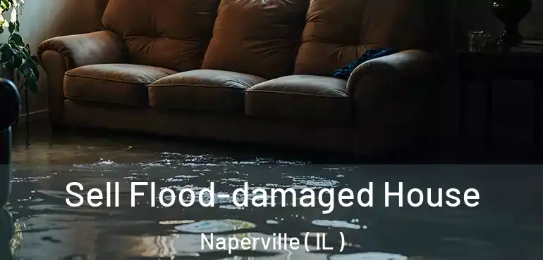  Sell Flood-damaged House Naperville ( IL )