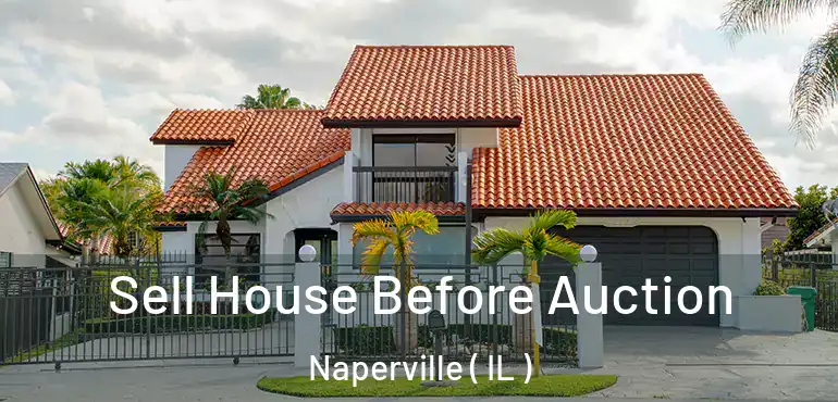  Sell House Before Auction Naperville ( IL )