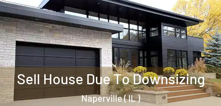  Sell House Due To Downsizing Naperville ( IL )