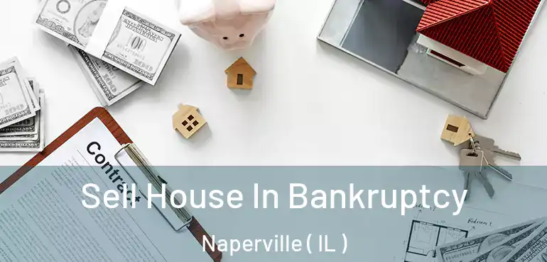  Sell House In Bankruptcy Naperville ( IL )