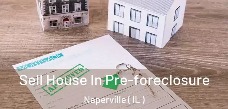  Sell House In Pre-foreclosure Naperville ( IL )