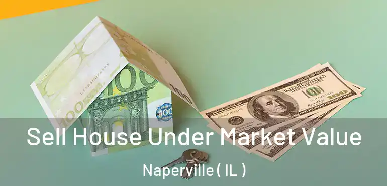  Sell House Under Market Value Naperville ( IL )