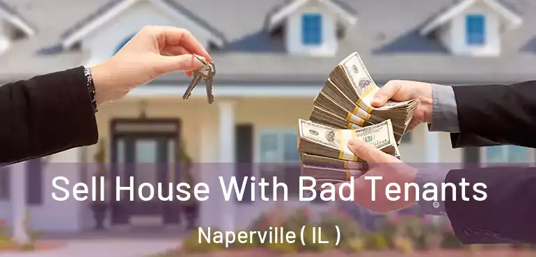 Sell House With Bad Tenants Naperville ( IL )