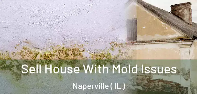  Sell House With Mold Issues Naperville ( IL )