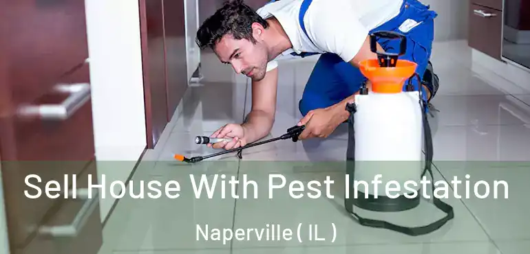  Sell House With Pest Infestation Naperville ( IL )