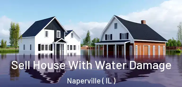  Sell House With Water Damage Naperville ( IL )
