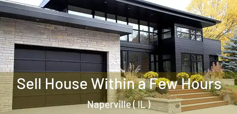  Sell House Within a Few Hours Naperville ( IL )