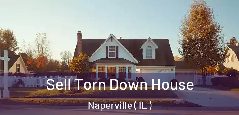  Sell Torn Down House Naperville ( IL )